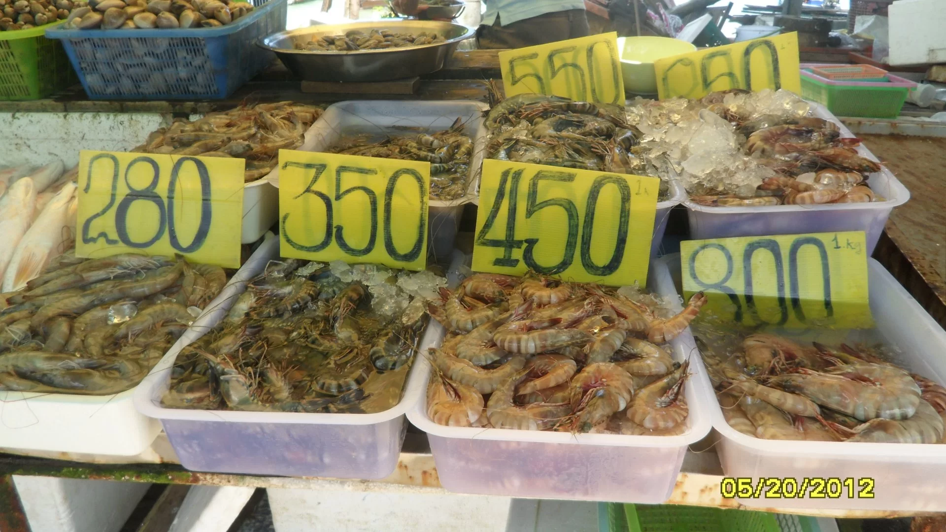 sdfghkjlöä- 053.webp