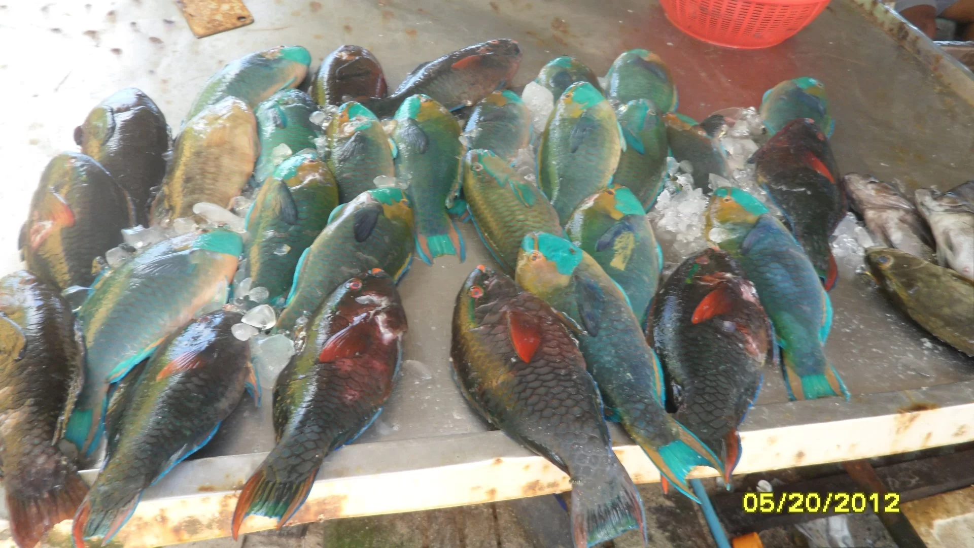 sdfghkjlöä- 054.webp