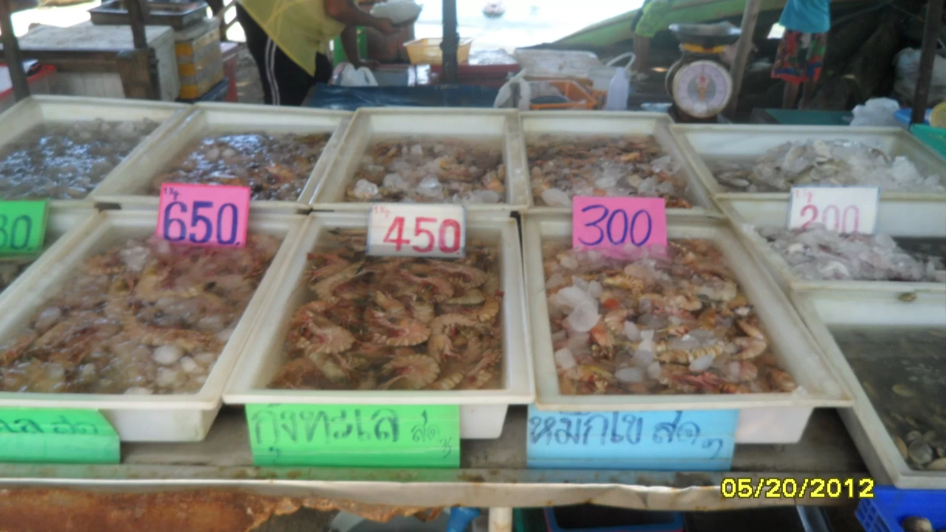 sdfghkjlöä- 059.webp