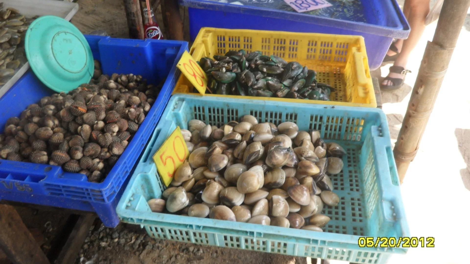 sdfghkjlöä- 060.webp