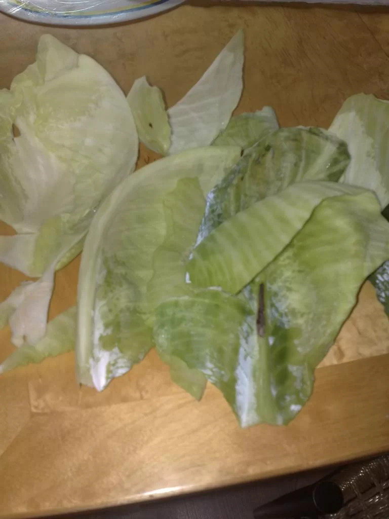 Skål för livet!! 006.webp