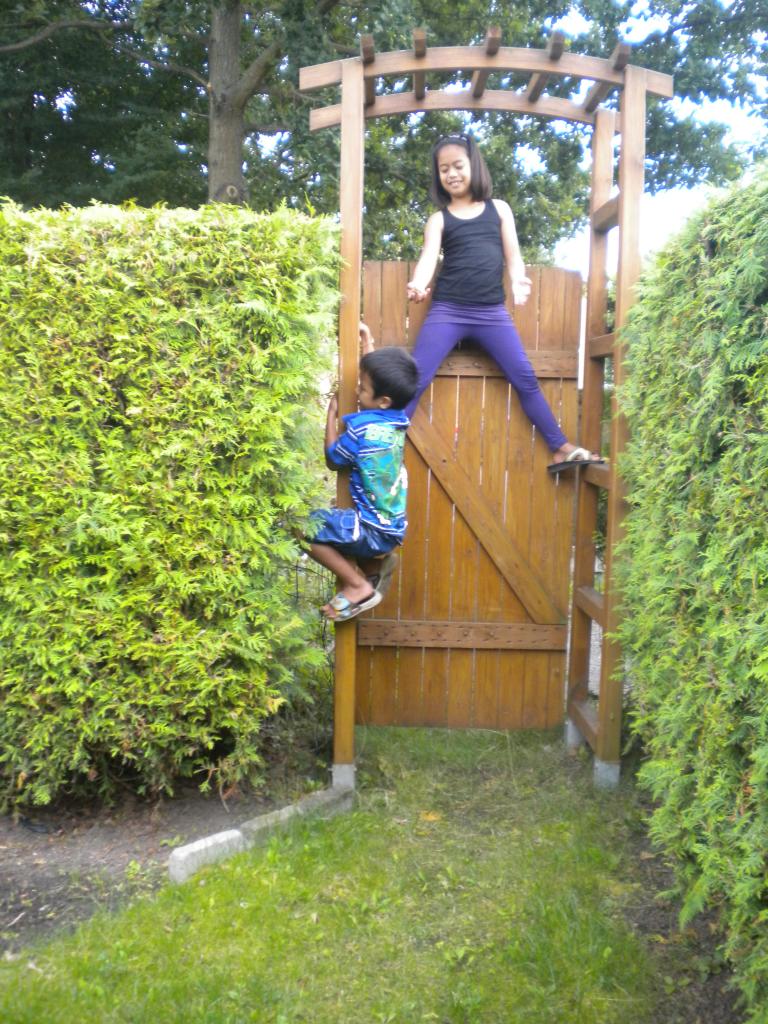 Skånes Djurpark 110827 051.jpg