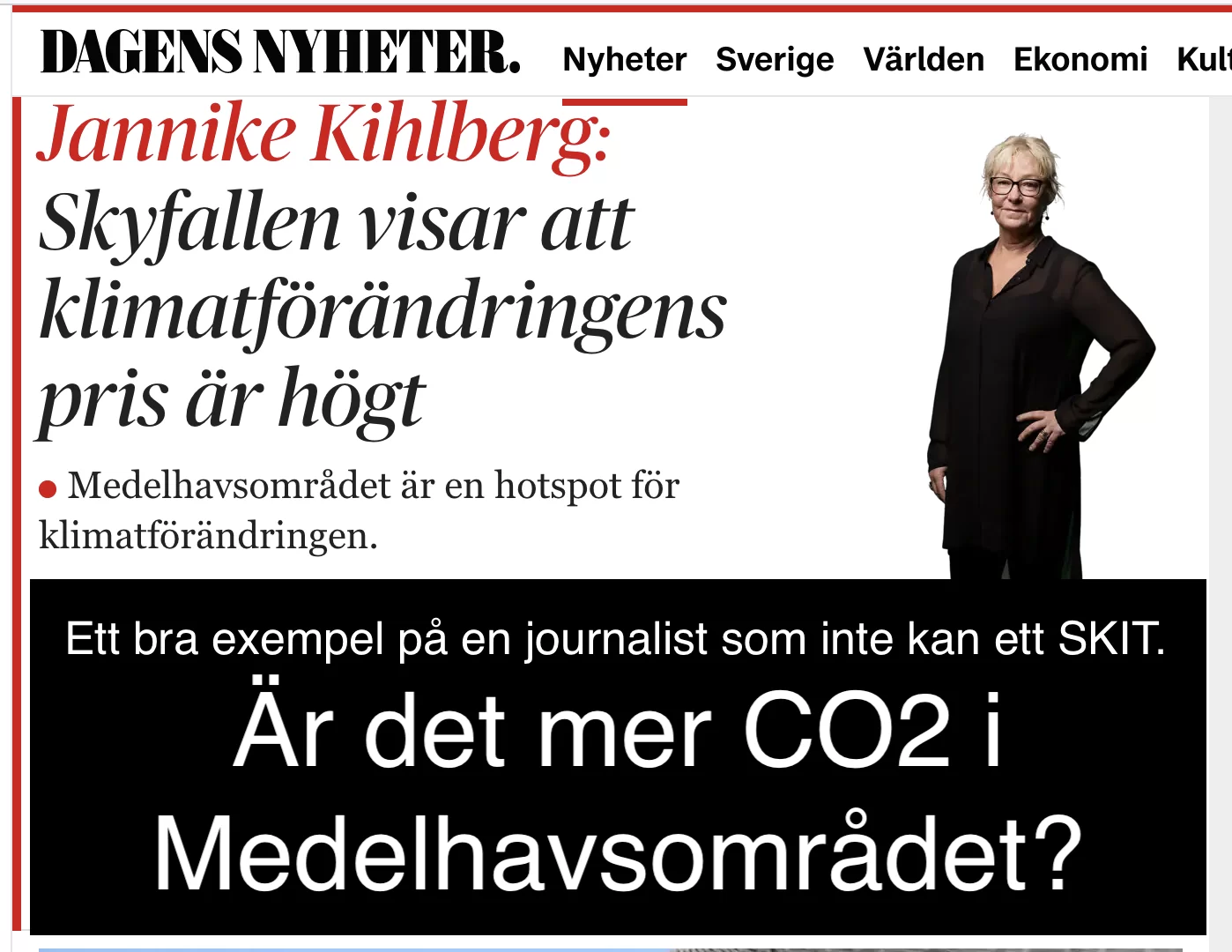 SKRÄPJOURNALISTIK.webp