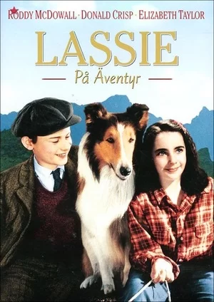 small_1cb169835d4166cafb8be60bac07d28c-lassie_come_home.webp