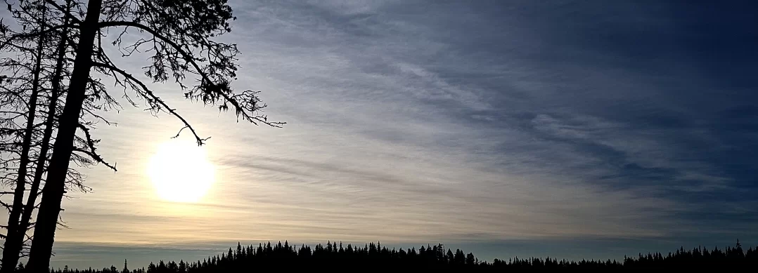 SmartSelect_20201024-162353_Gallery.webp