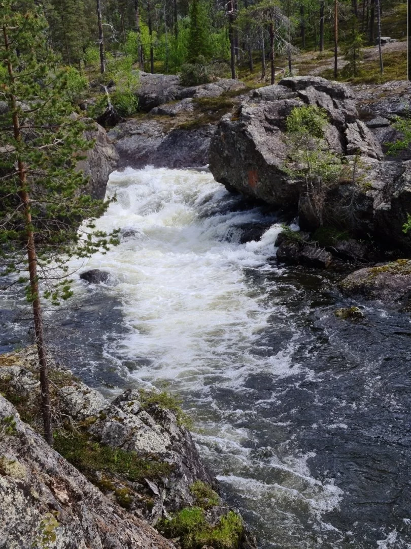 SmartSelect_20210615-201137_Gallery.webp