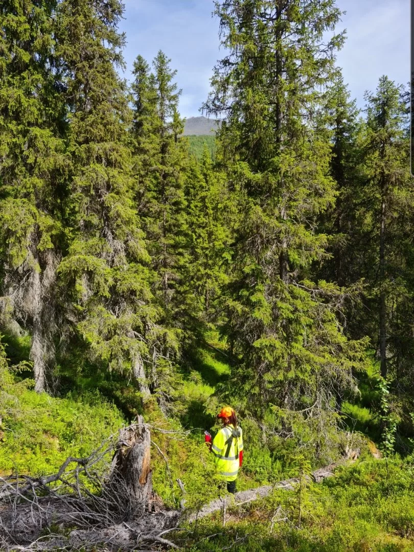 SmartSelect_20210630-232826_Gallery.webp