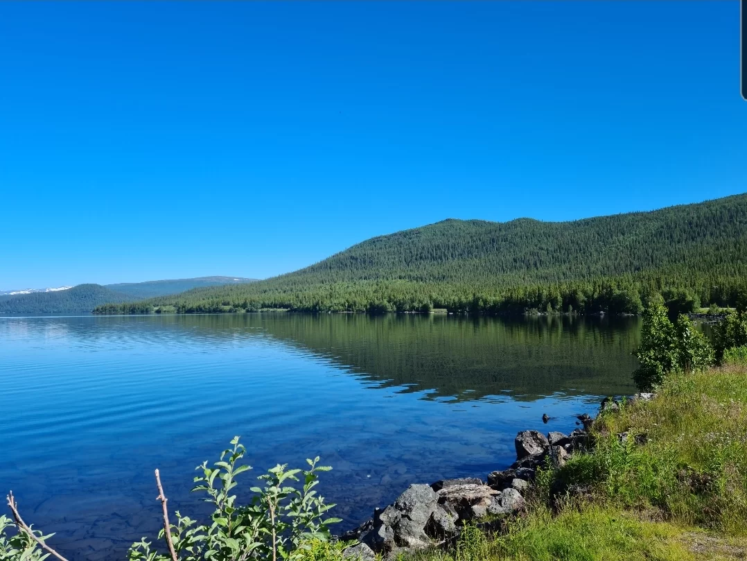 SmartSelect_20210701-093401_Gallery.webp