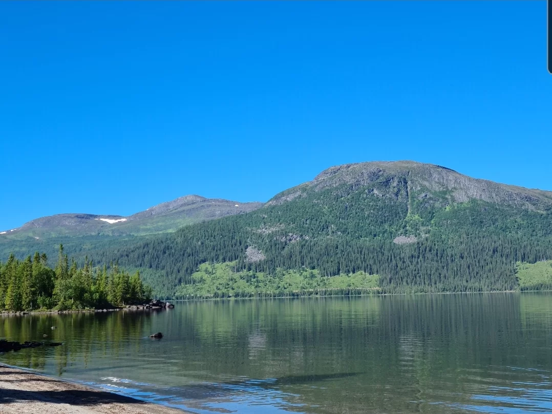 SmartSelect_20210701-093657_Gallery.webp
