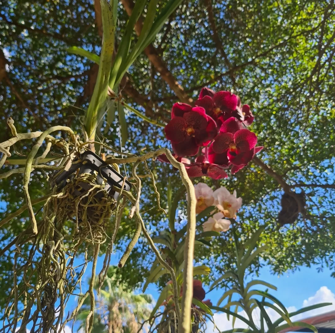 SmartSelect_20221130_144812_Gallery.webp