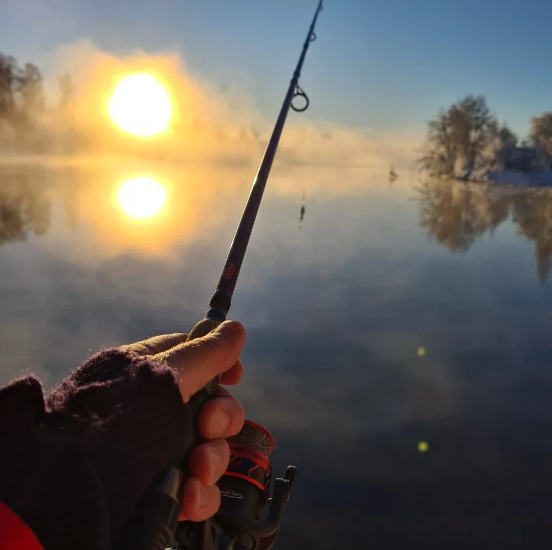 SmartSelect_20221223_103713_Gallery.webp
