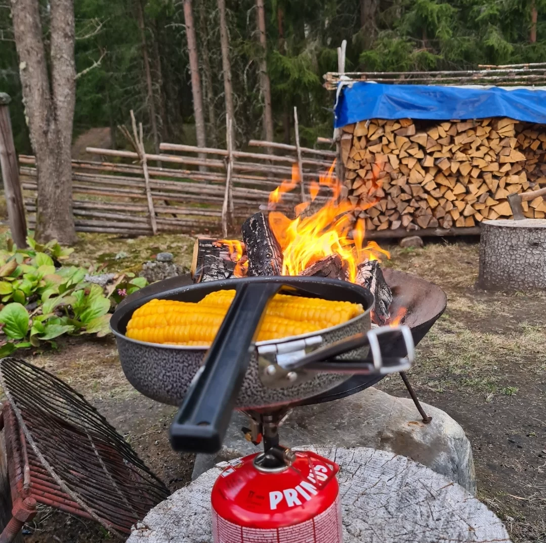 SmartSelect_20230512_202442_Gallery.webp
