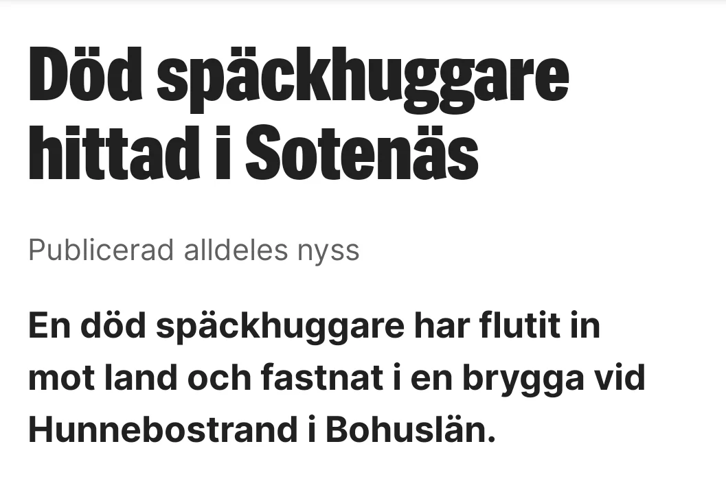 SmartSelect_20230518_092536_Expressen.webp