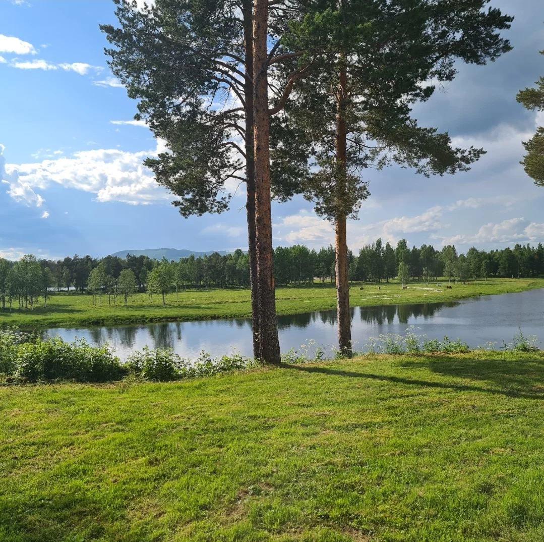 SmartSelect_20230630_174721_Gallery.webp
