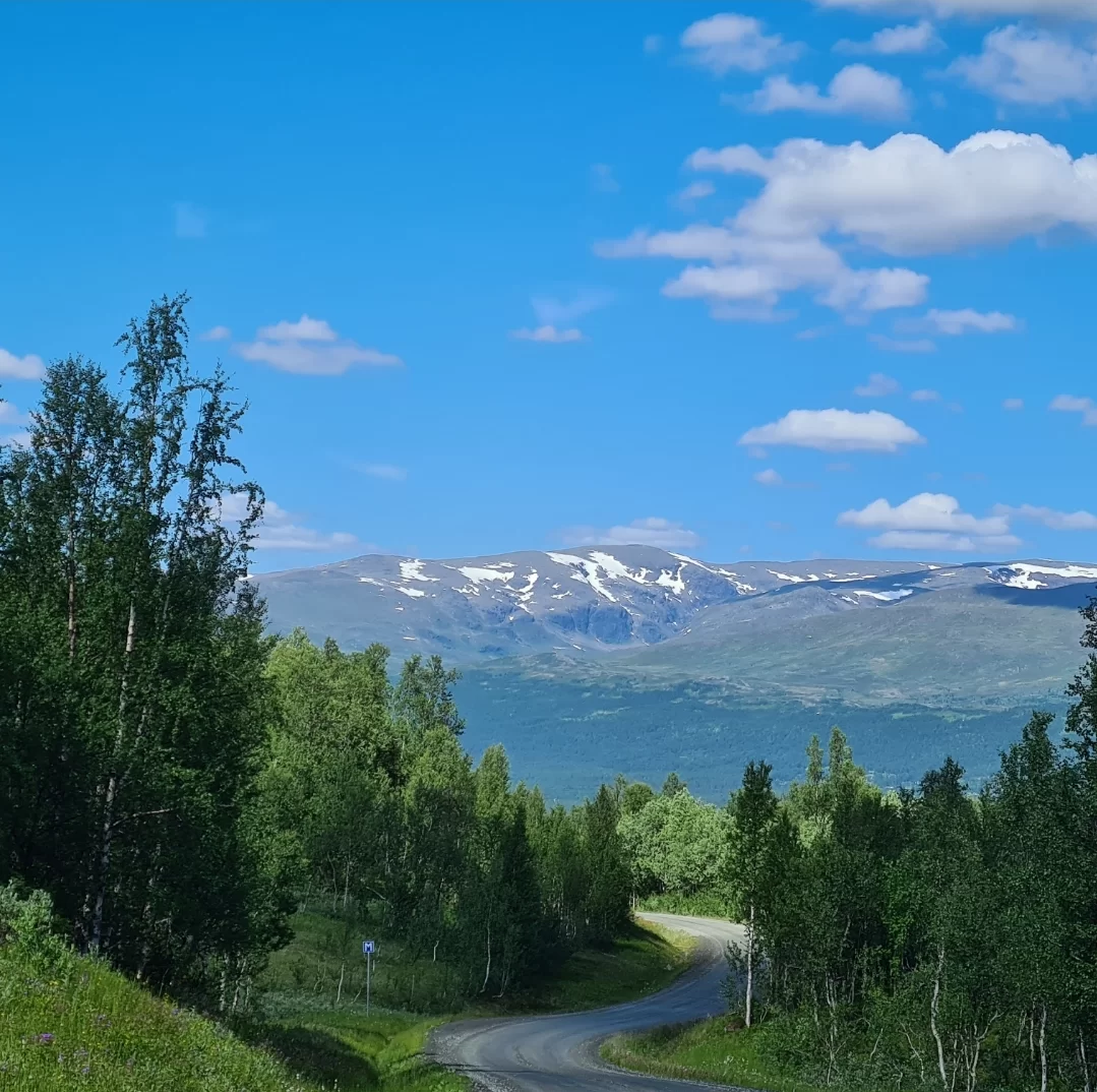 SmartSelect_20230710_175200_Gallery.webp