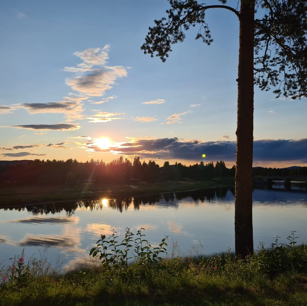 SmartSelect_20230715_222119_Gallery.webp