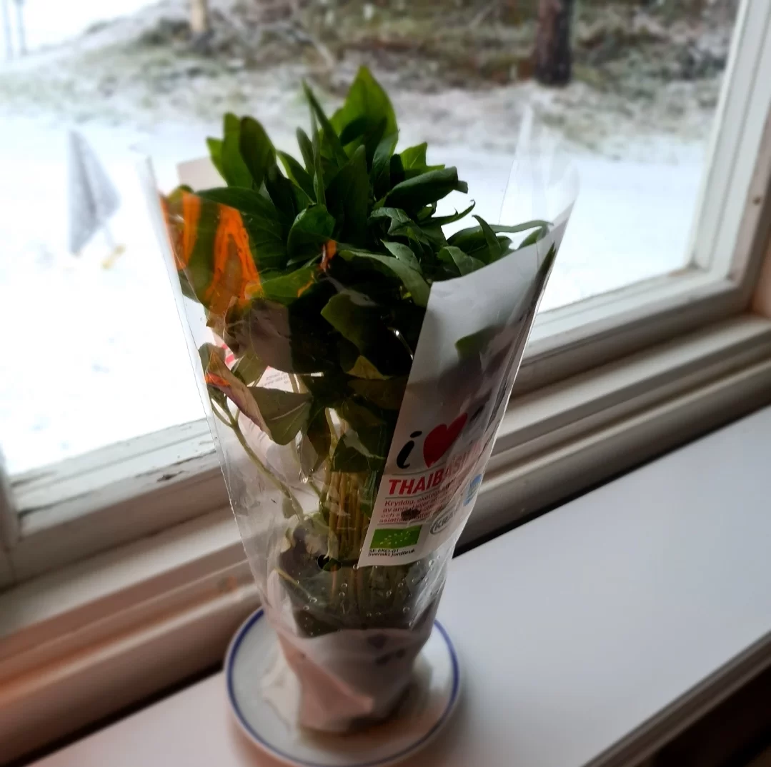 SmartSelect_20231014_122712_Gallery.webp