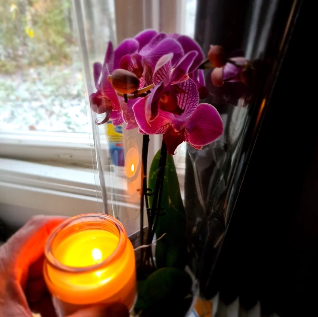 SmartSelect_20231014_122725_Gallery.webp