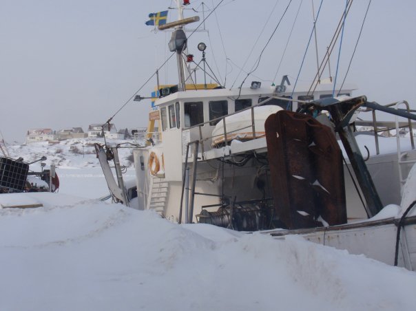 Snö.jpg