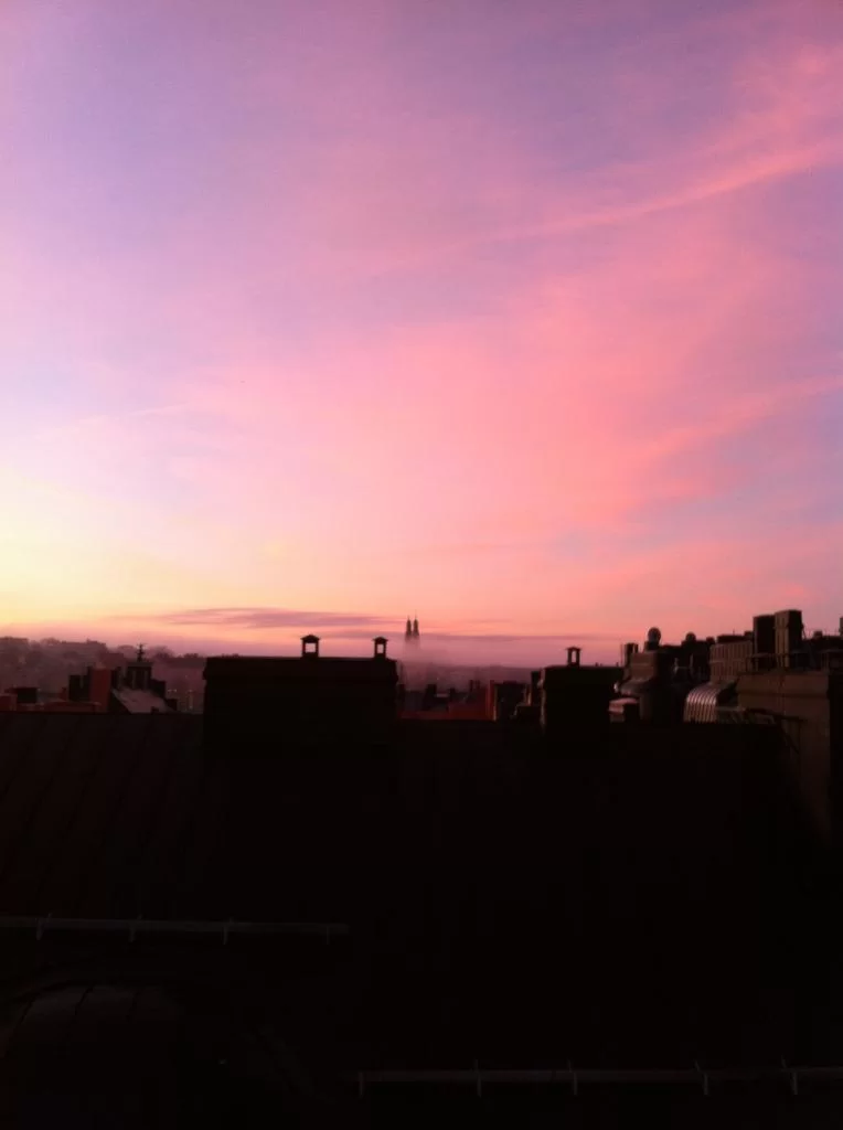 Sofia.webp