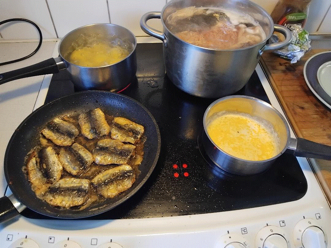 strömming.gif