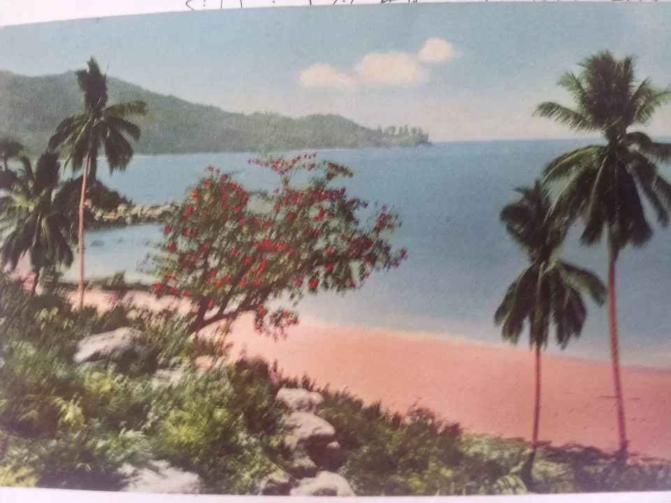 surin 67.webp