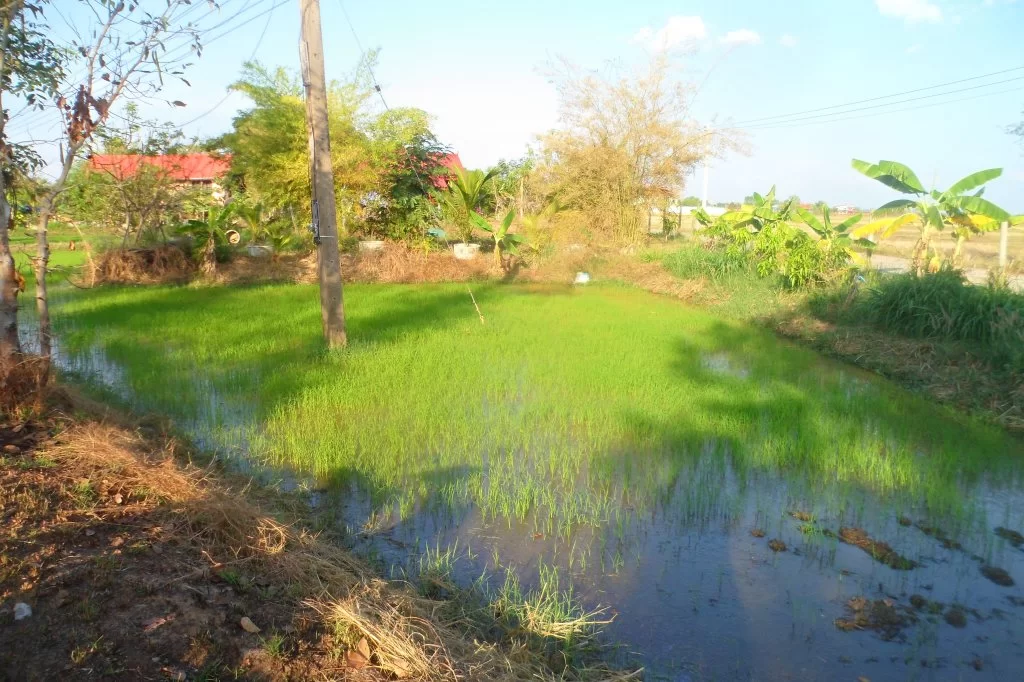 Svartjobbarmat 031.webp