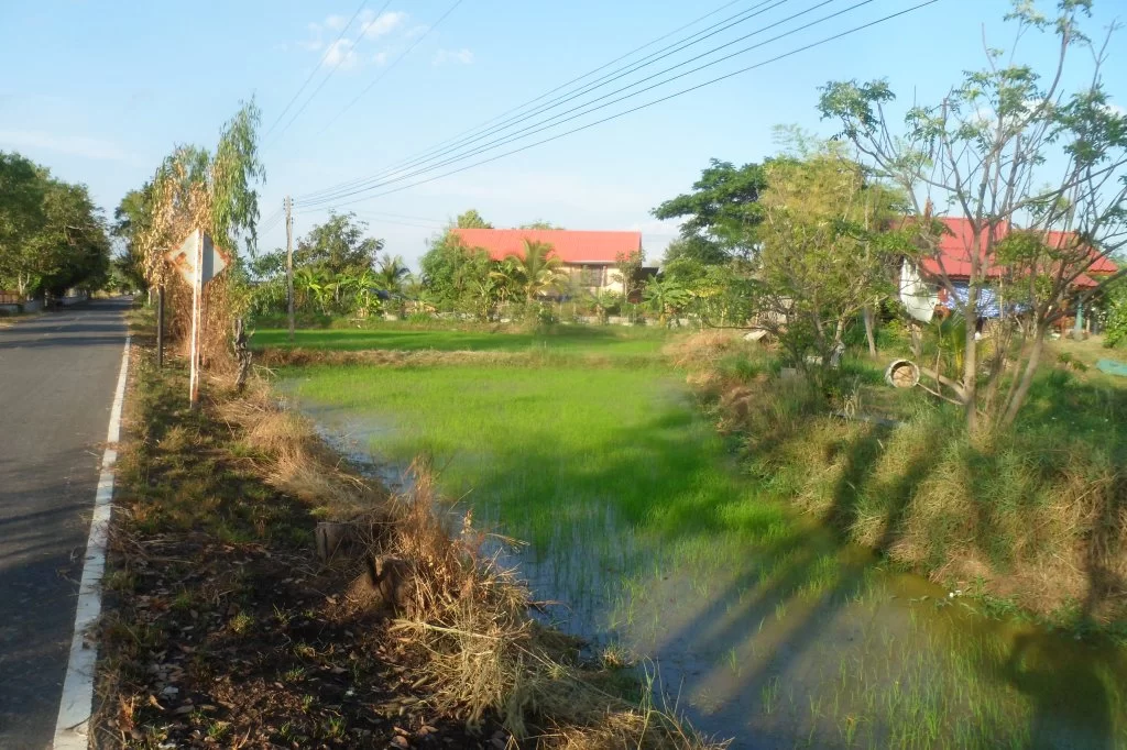 Svartjobbarmat 032.webp