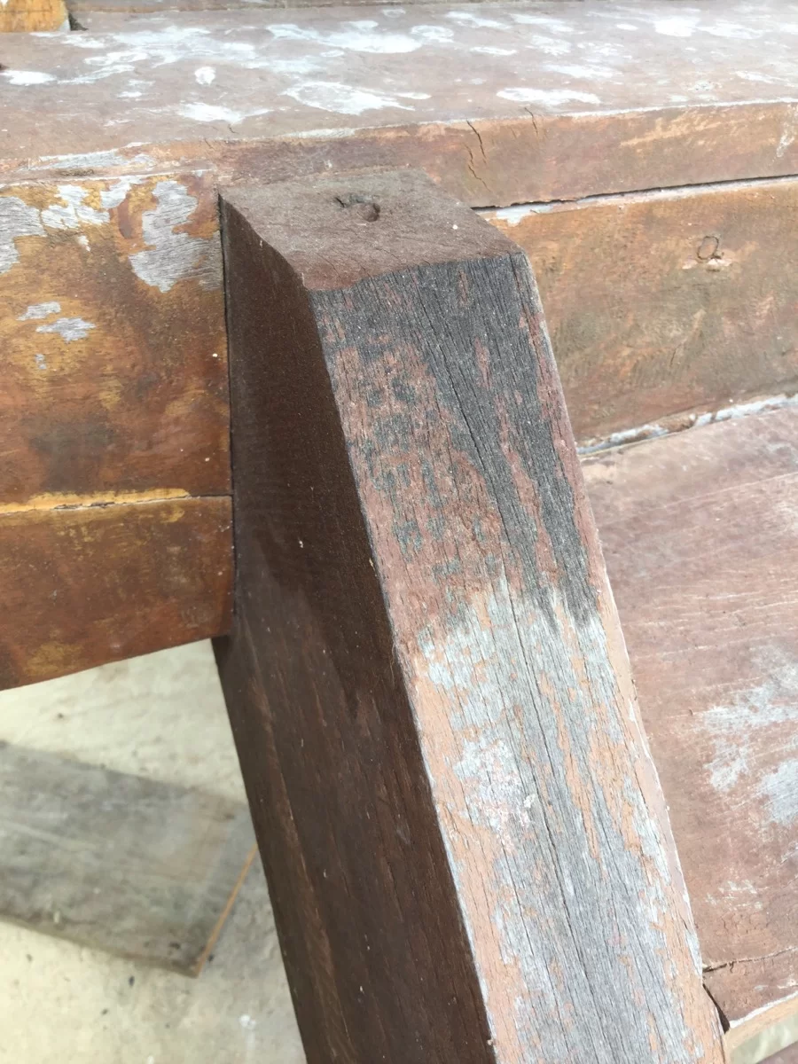 test med linolja.webp