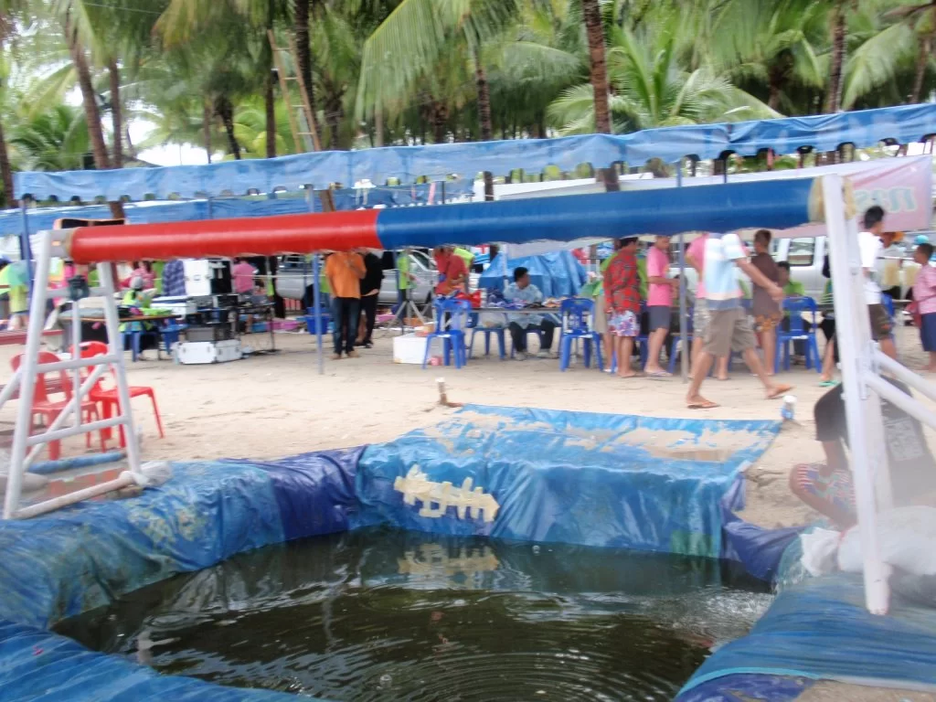 Thai Bangsaen 303.webp