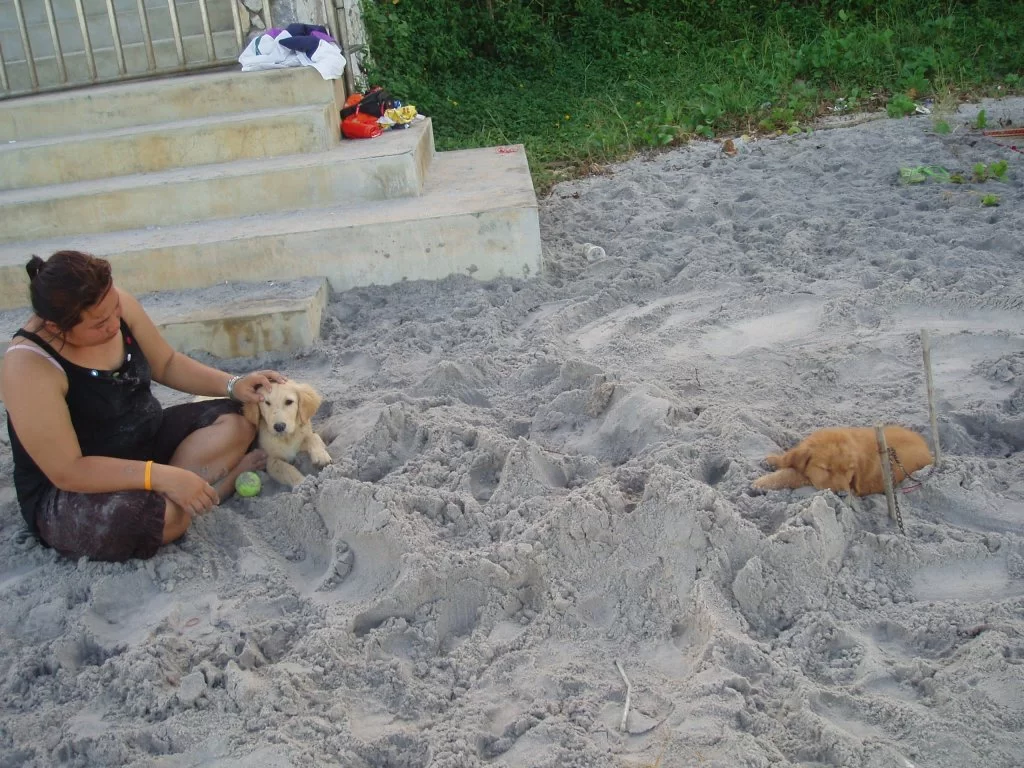 thai dec 06 046.webp