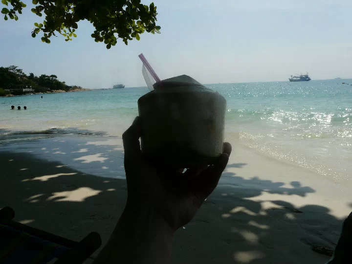 thai12.webp