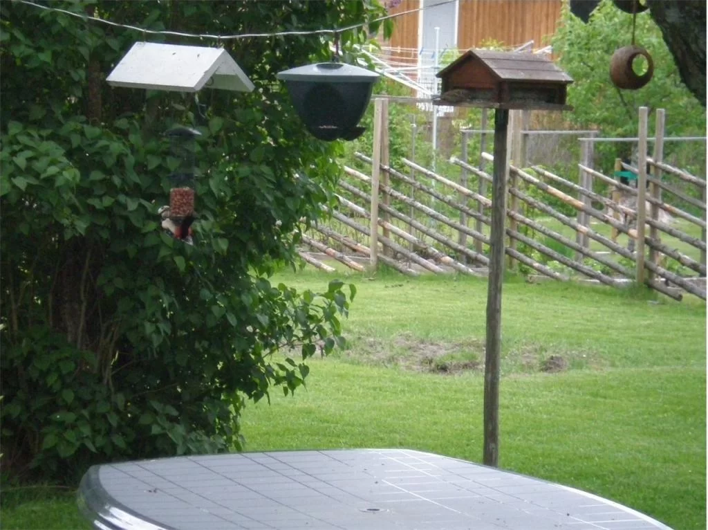 thailand 2010 003.webp