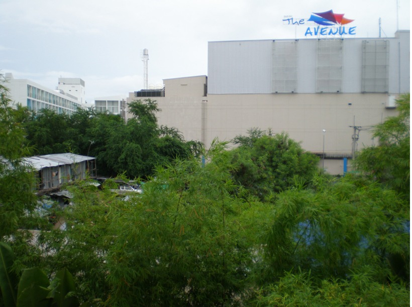 thailand%202010%20064.jpg