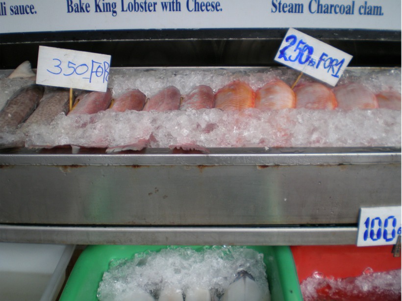 thailand%202010%20071.jpg
