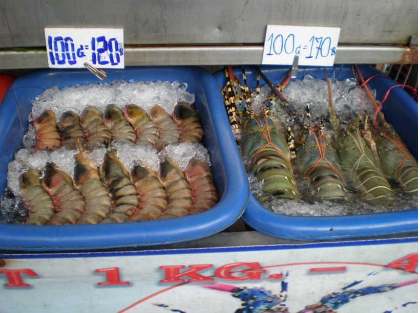 thailand%202010%20072.jpg