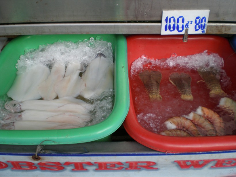 thailand%202010%20073.jpg