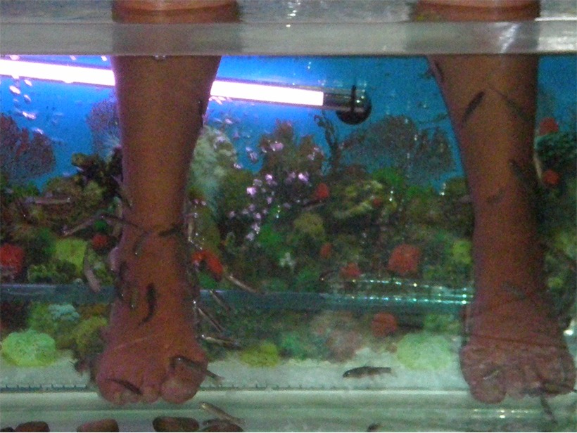 thailand%202010%20115.jpg