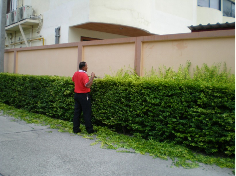thailand%202010%20119.jpg
