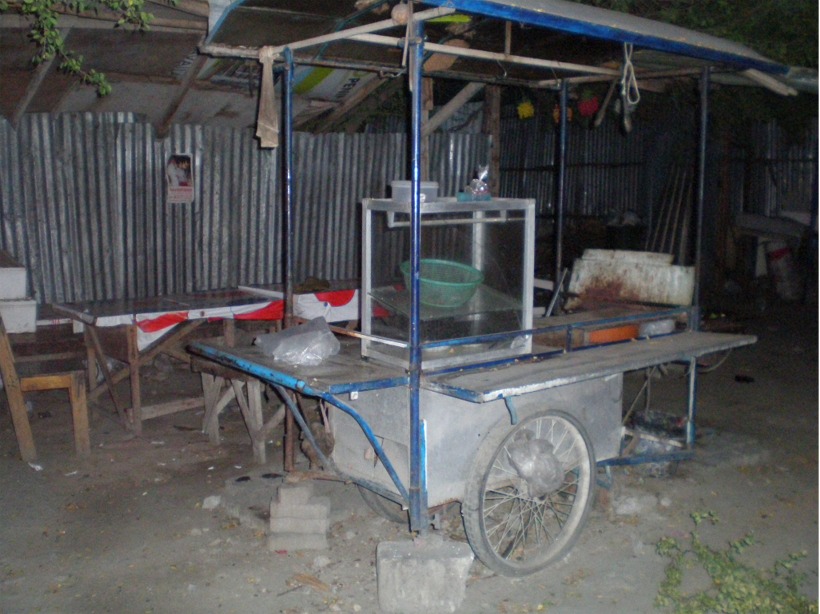 thailand%202010%20204.jpg