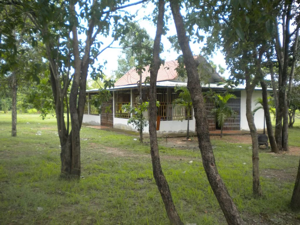Thailand 287.webp
