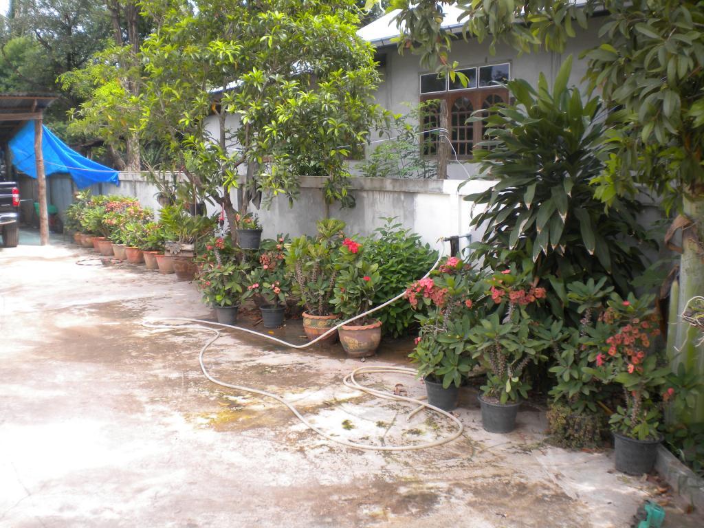 Thailand 299.jpg