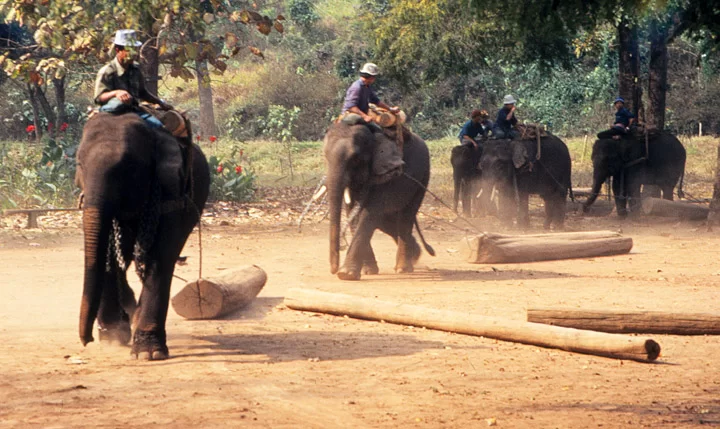 thailand_0035.webp