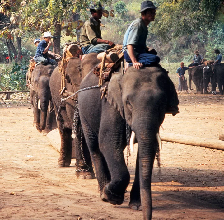 thailand_0036.webp