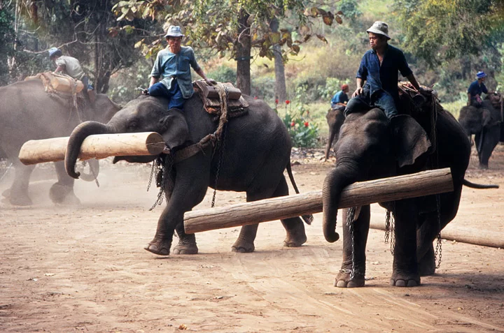thailand_0037.webp
