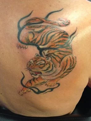 Tigern.webp