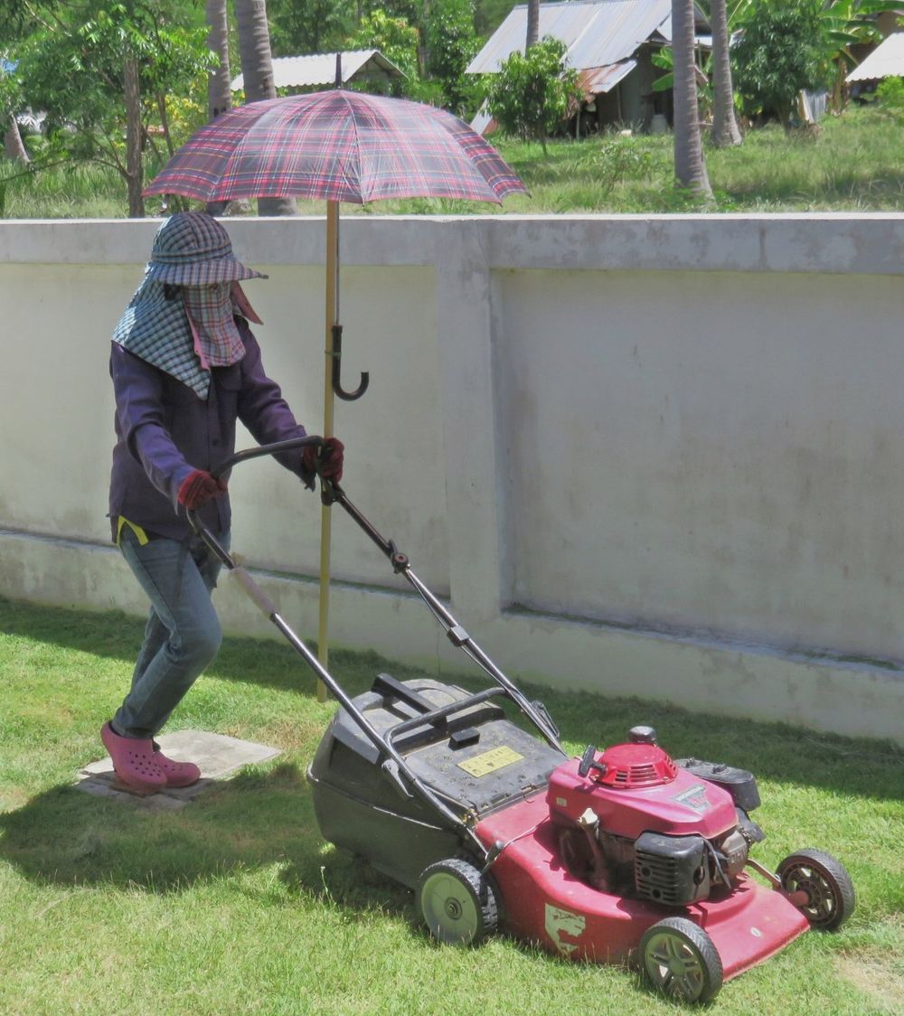 Trägårdsarbetare Thailand.jpg