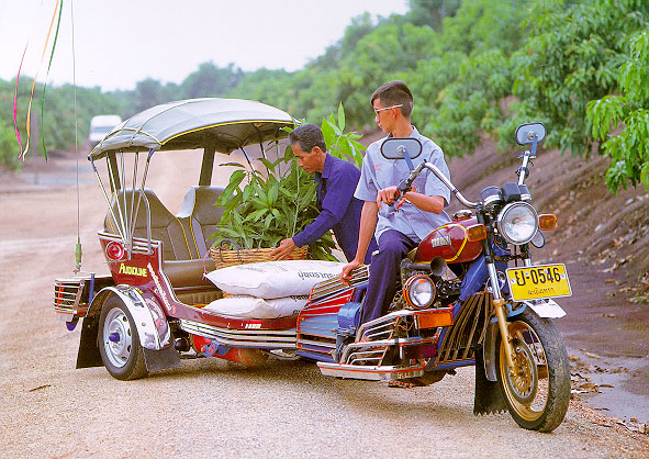 Trike.jpg