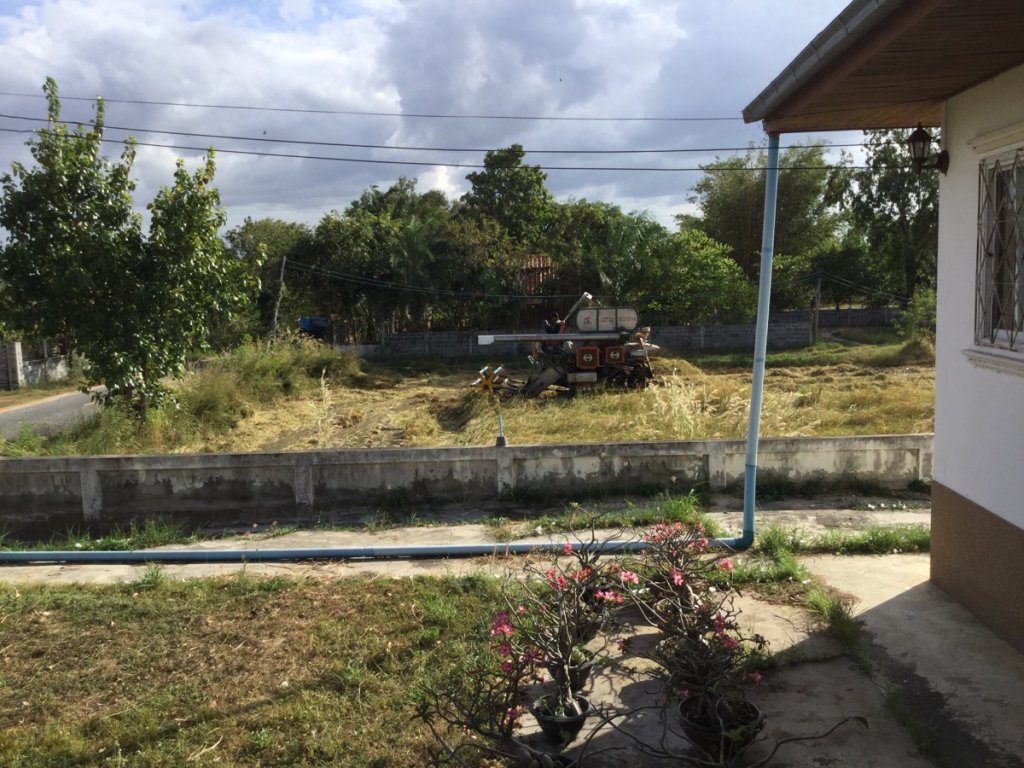 Tröskning av fältet jämte huset 2.jpg