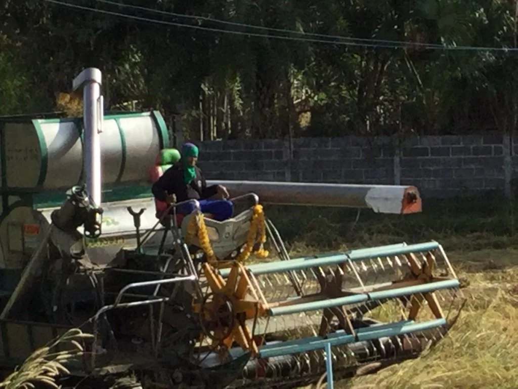 tröskning av fältet jämte huset.webp